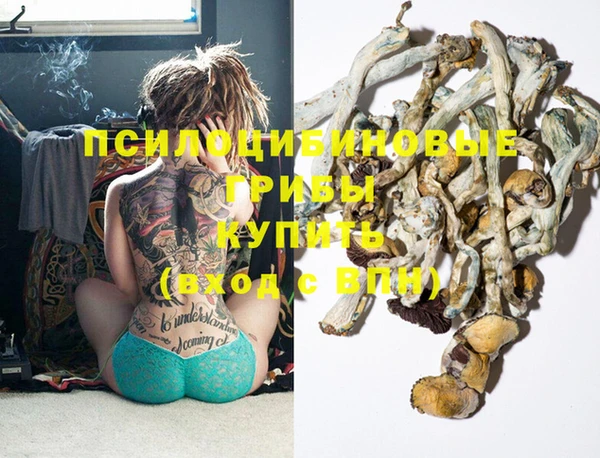 spice Балахна